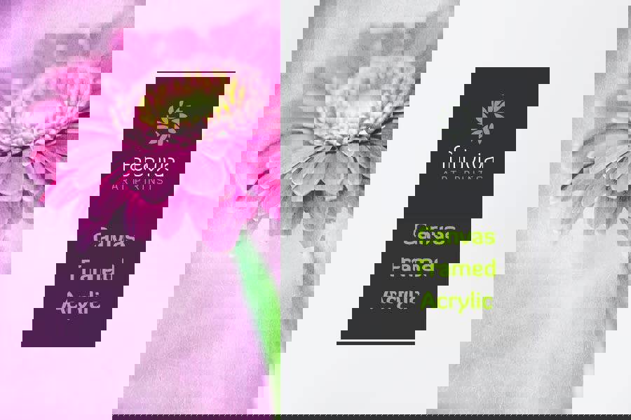 Fernlight Gallery Pretty in Pink