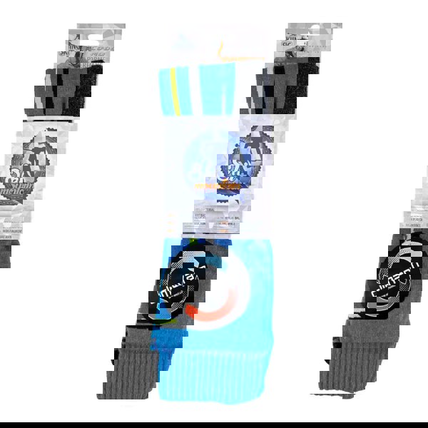 t4option1_1