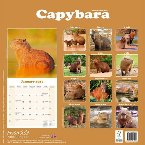 Capybara Calendar 2027, Wall Calendars, Month To View, Animals, Gift