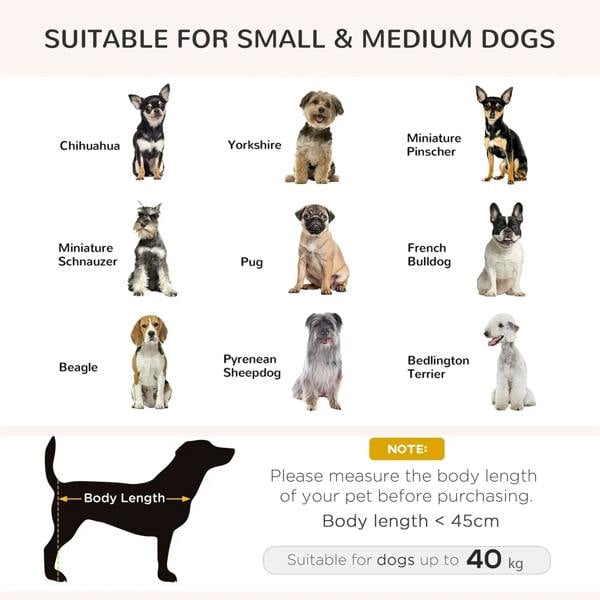 Grey dog sofa bed size guide infographic for small and medium dogs