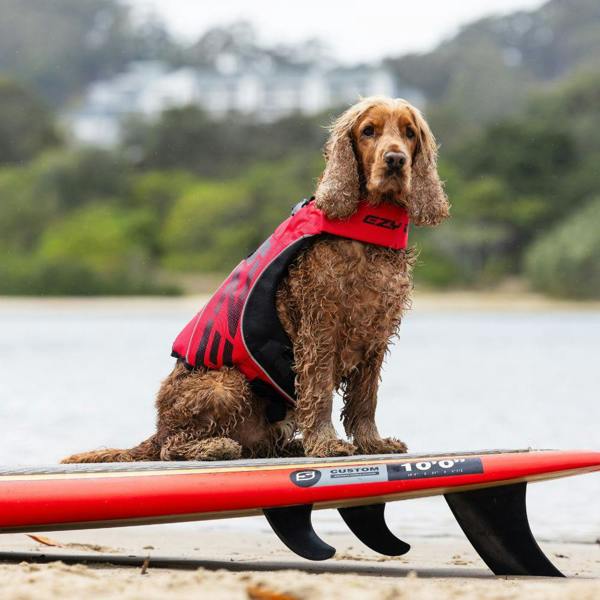 EzyDog DFD X2 Boost Dog Life Jacket in Red
