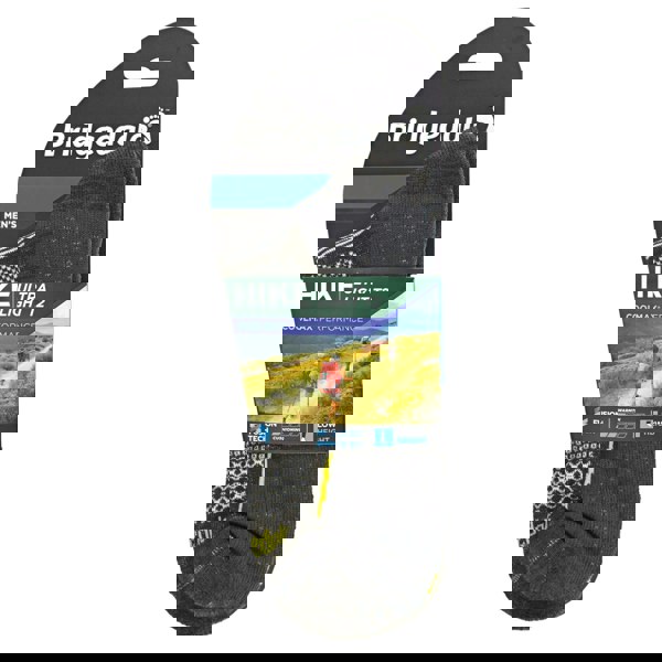 t4option1_0