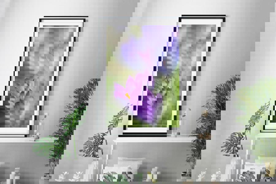 Crocus flower art print for walls