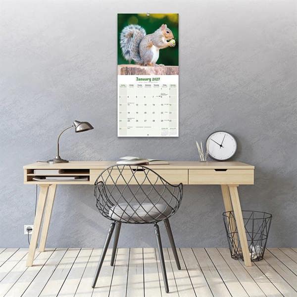 Squirrels Calendar 2027, Wall Calendars, Month To View, Animals, Gift