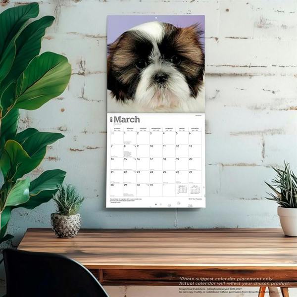 Shih Tzu Puppies Calendar 2027, Wall Calendars, Month To View, Dogs, Gift