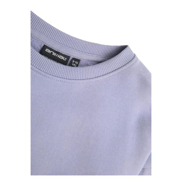 Animal Childrens/Kids Sweatshirt - Blue - 