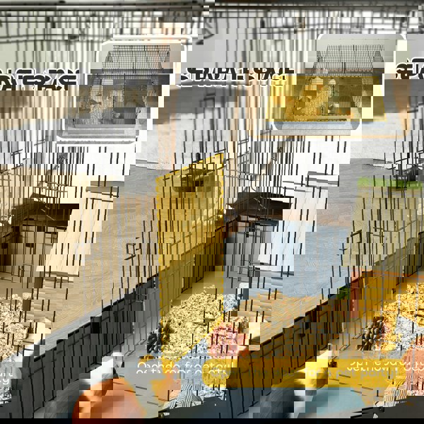D51-479V00BK