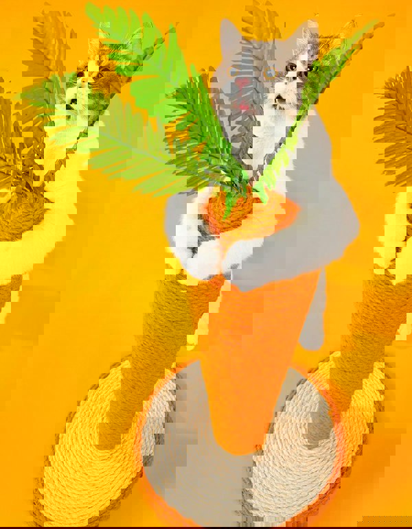 Calo's Carrot, Cat Toy, Hemp Rope, Cat Scratcher-Weilai concept-Weilai Concept