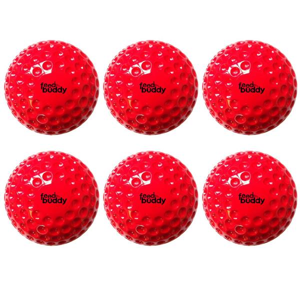 Feed Buddy Cricket Balls (6 in pack)