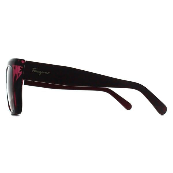 Salvatore Ferragamo Sunglasses SF1042S 525 Transparent Cyclamen Brown Gradient