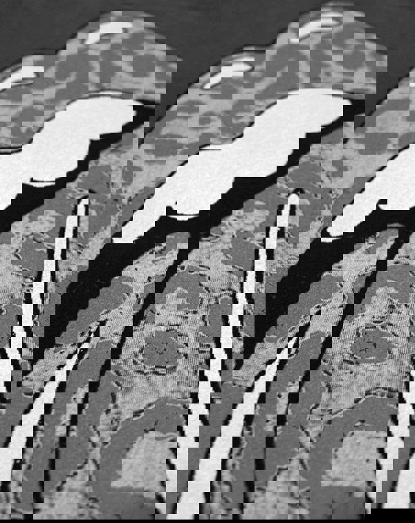 Vanilla Underground Amplified Clothing Womens Grey Rolling Stones Leopard Tongue Logo Vest