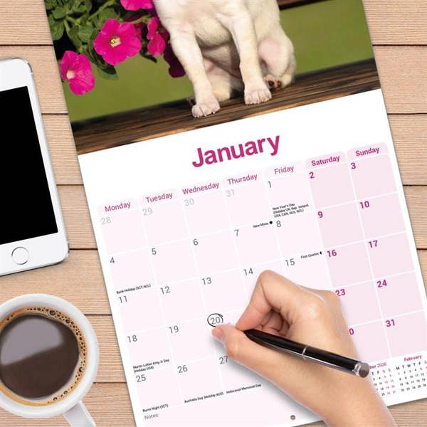 Chihuahua Calendar 2027, Wall Calendars, Month To View, Dogs, Gift