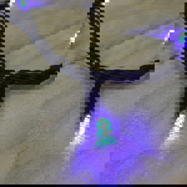 Samuel Alexander 300 Electric Blue LED Super-Long 29.9m Connectable Lights on a Black Cable