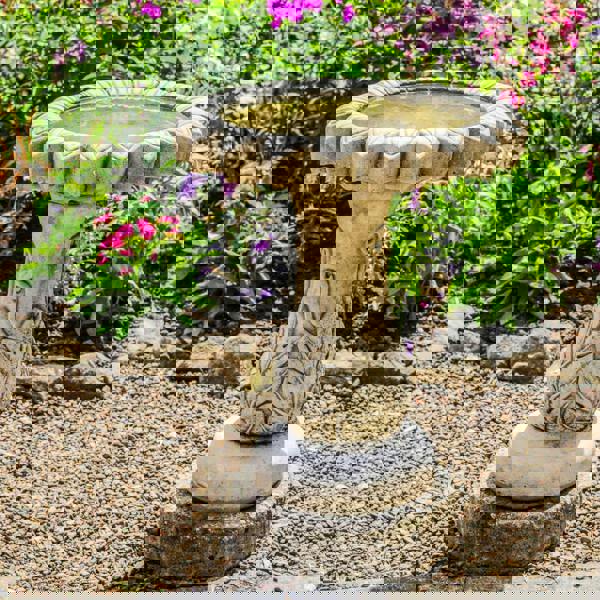 Daisy' Design Birdbath with flower-shaped Basin