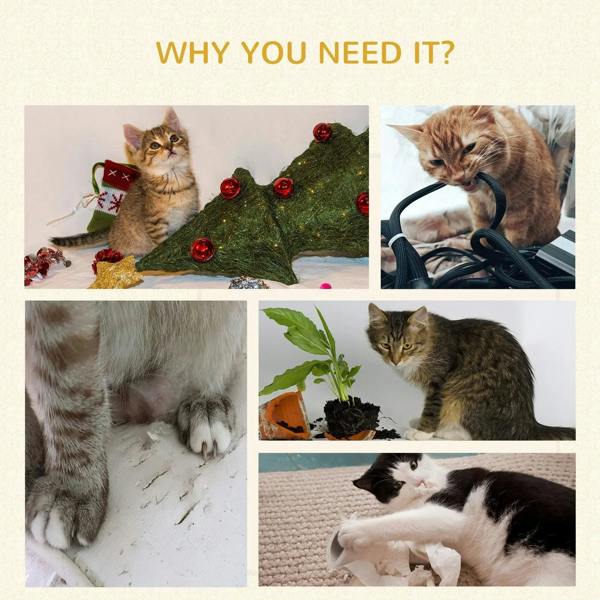 Cats playing and resting with a running wheel setup, shown in a collage