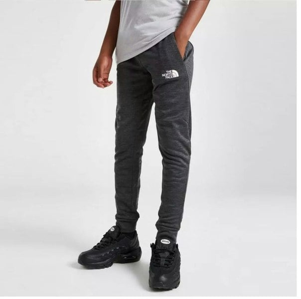 The North Face Kids/Youth Grey Track Pant