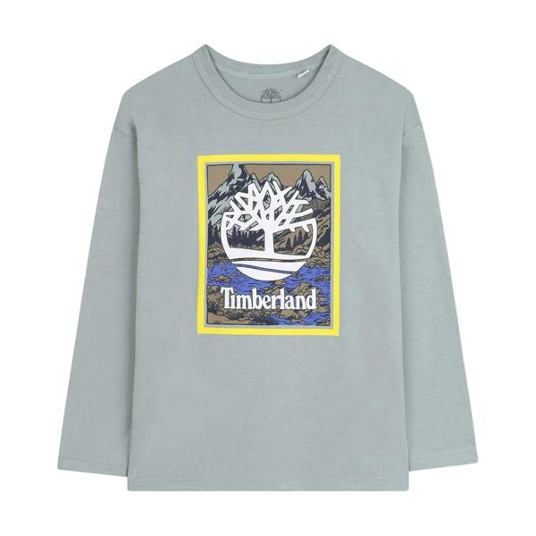 Timberland Childrens/Kids Graphic Print T-Shirt - Grey - 