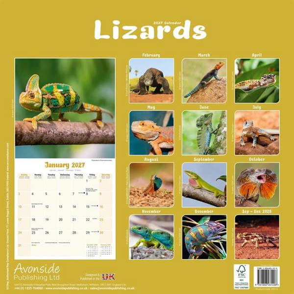 Lizards Calendar 2027, Wall Calendars, Month To View, Animals, Gift