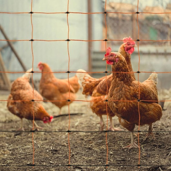 T-mech Electric Poultry Netting - 50m