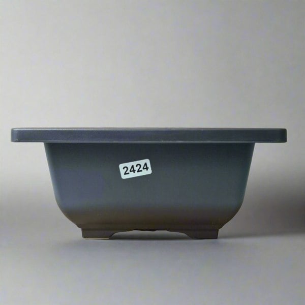 Yorkshire Bonsai Plastic Bonsai Training Pot | Square | 17cm x 8cm