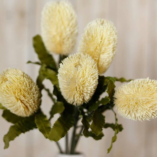 Wyld Haus Set of 3 Artificial Flowers Large Cream Banksia Serrata Stems