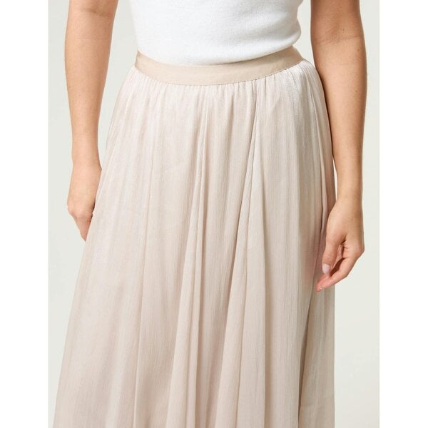 Blue Vanilla Mesh Tulle Pleated Skirt
