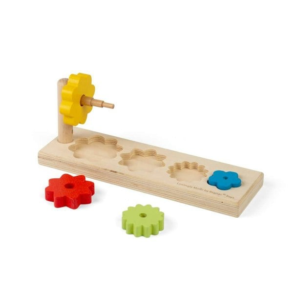 Bigjigs Toys Flower Sorter