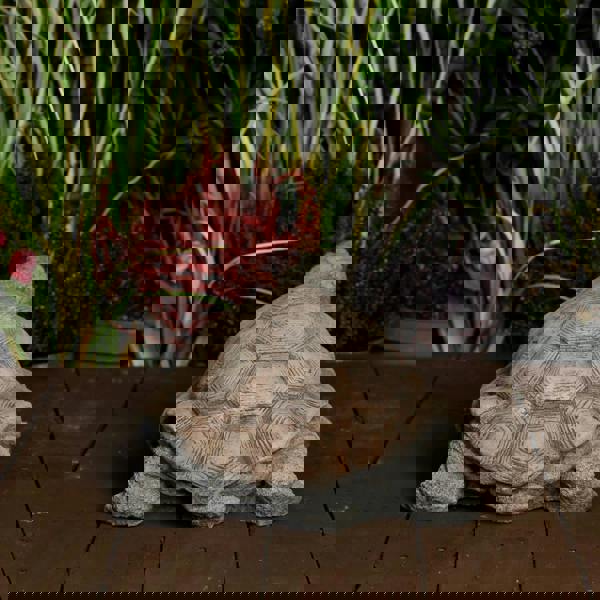 Medium Stone Cast Tortoise Garden Ornament 