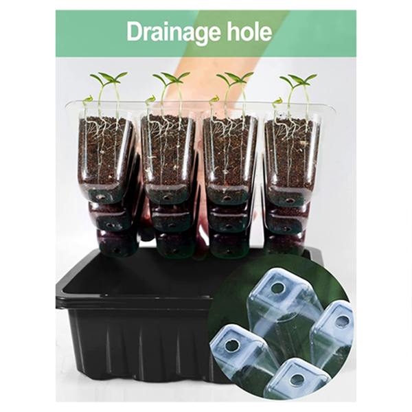 Dragodirect 6 Packs Seed Trays with Clear Lids Seed Propagator Set Garden