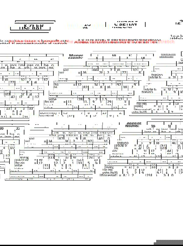 Paulo Due Women's Casual Stretch Knee Length Shorts