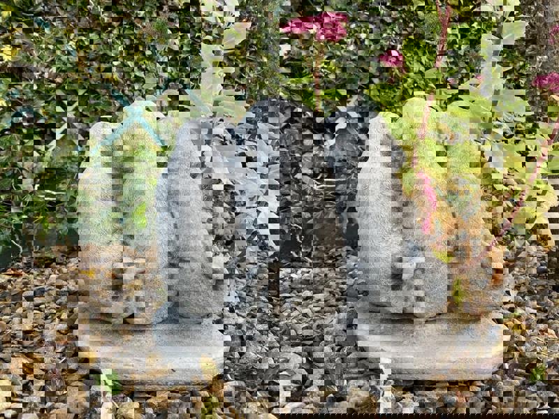 Welcome Dogs Stone Cast Garden Ornament