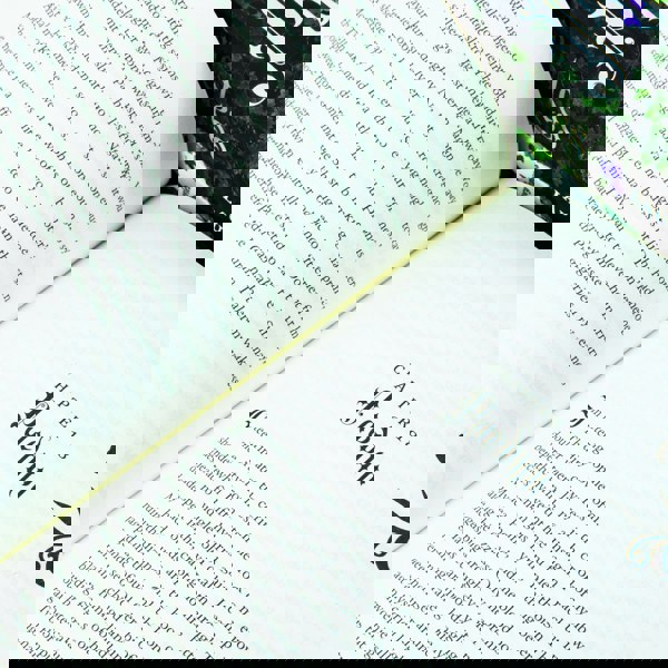 The Powerless Trilogy By Lauren Roberts 4 Books Collection Set (Fearless [Hardback], Powerless, Powerful and Reckless)