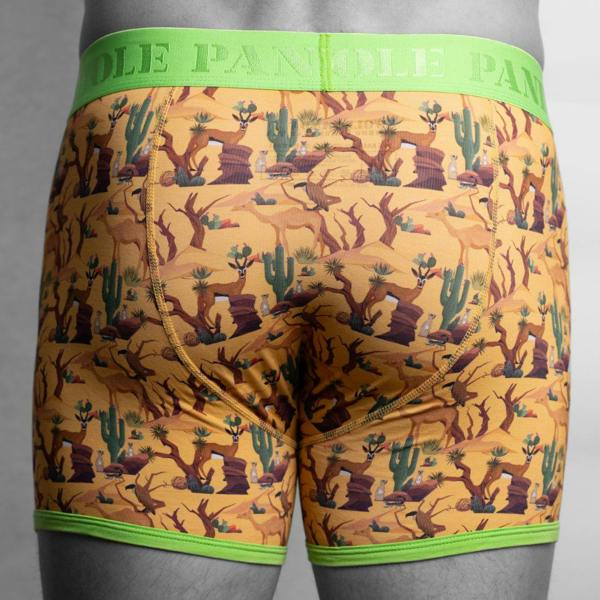 SWOLE PANDA Bamboo Boxers - Savannah