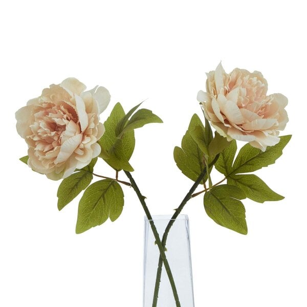 Wyld Haus Set of 3 Artificial Flowers Blush Peony Stem