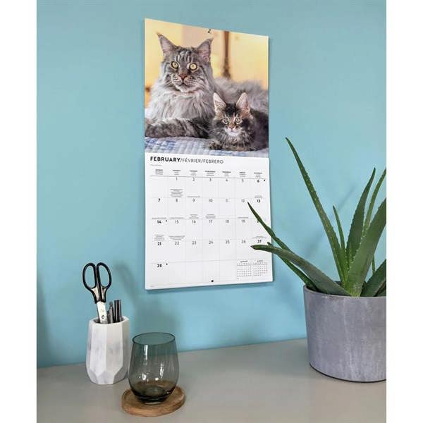 Maine Coon Cats Calendar 2027, Wall Calendars, Month To View, Cats, Gift