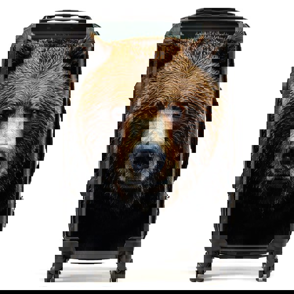 Warren Reed Finn Wilder: Grizzly Bear Suitcase