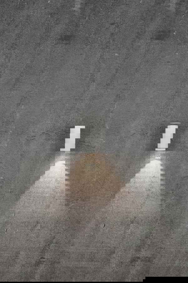 Nordlux Canto 2 | Wall light | White