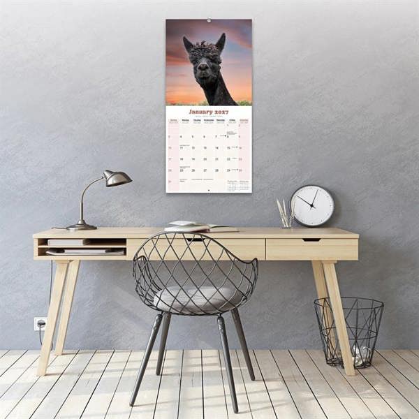 Alpacas Calendar 2027, Wall Calendars, Month To View, Animals, Gift