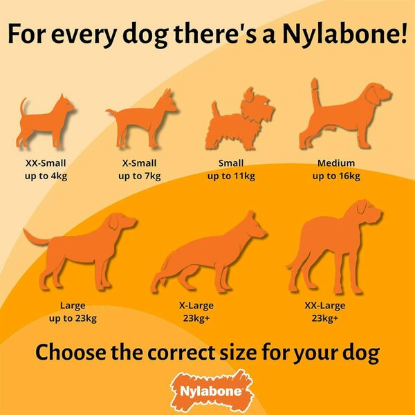 Nylabone Broccoli Dental Chew Dog Toy Large for Extreme Chewers Up To 23kg