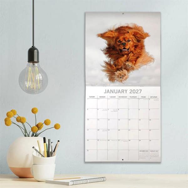 Cavalier King Charles Spaniels Calendar 2027, Wall Calendars, Month To View, Dogs, Gift