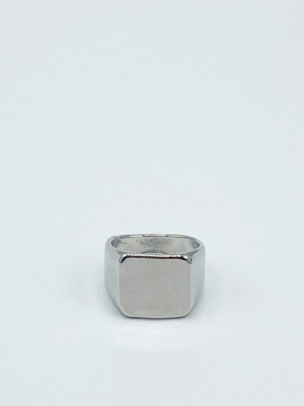 SVNX Signet Ring in Silver Colour