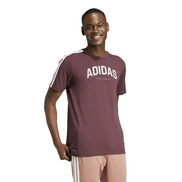 Adidas Mens Linear Graphic Collegiate T-Shirt - Ruby Red - 