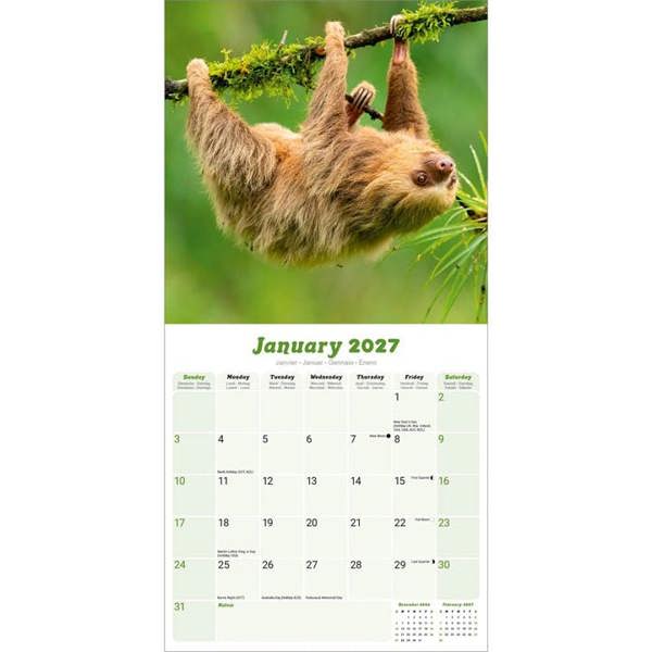 Sloths Calendar 2027, Wall Calendars, Month To View, Animals, Gift