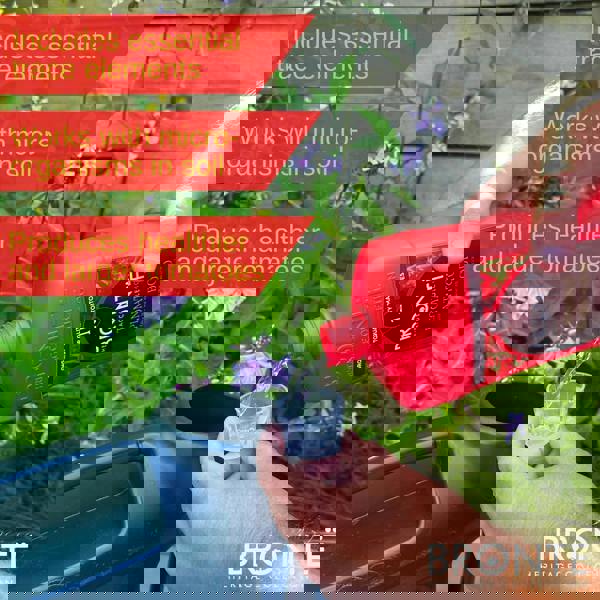 Bronte Heritage Tomato Plant Food 1L – Concentrated liquid feed for indoor & outdoor plants. Boosts growth, yields & resistance. Makes 300L.