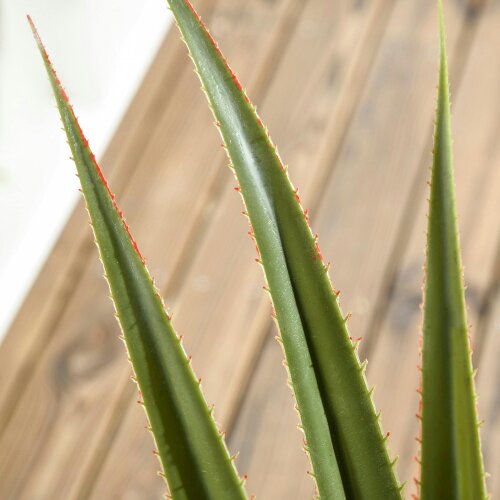 Wyld Haus Lisu Raha Artificial Agave Style Succulent Plant In Pot For Indoor Or Outdoor Placement