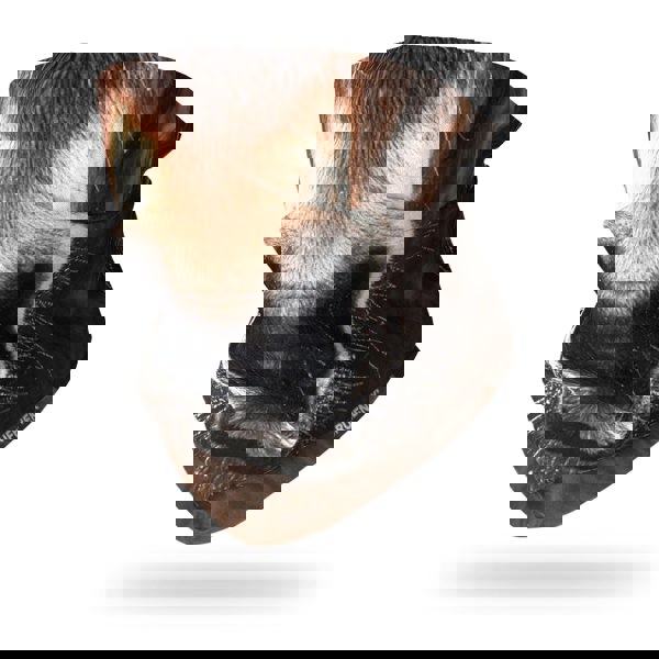 RUFFNEK Pony Nose Snood Tube Scarf