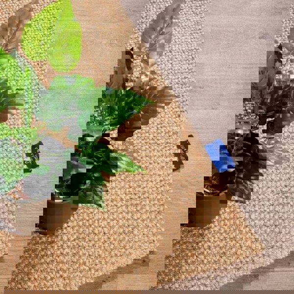 The Rugs Handwoven Natural Jute Rug - Eco-Friendly & Unique