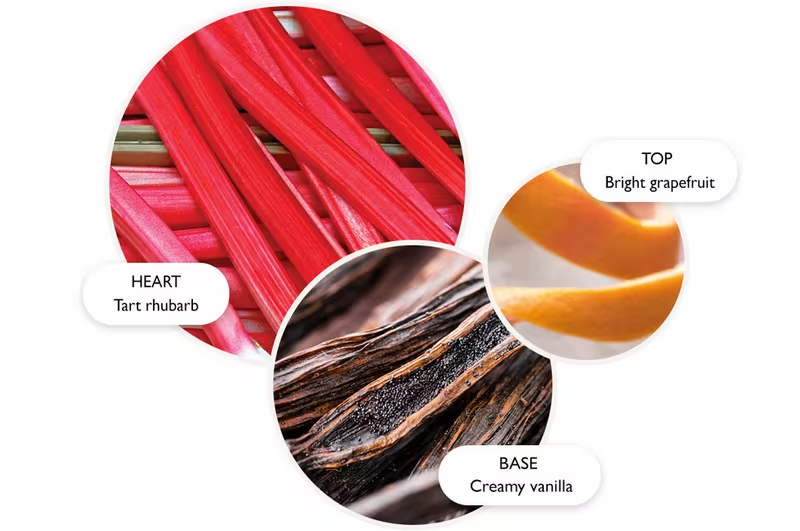 Molton Brown Rhubarb & Rose Aroma Reeds 150ml