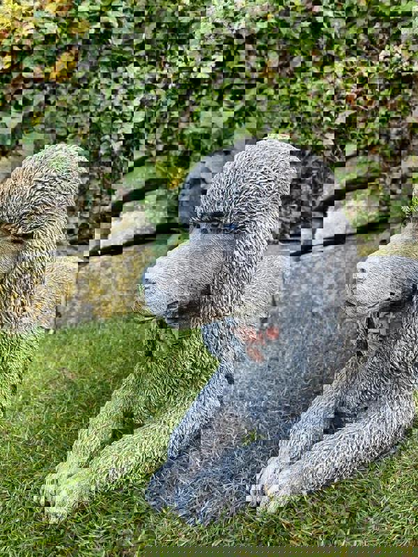 Stunning Stone Cast Laying Poodle Statue