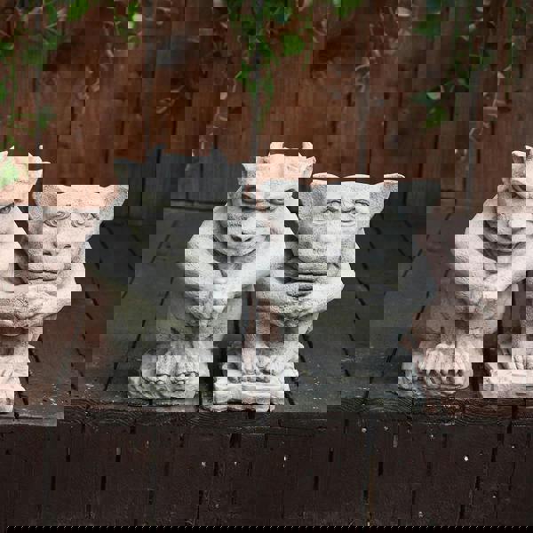 Pair Of Small Gargoyle Garden Statues